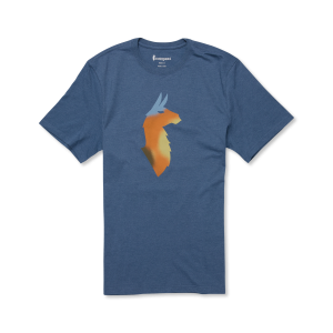 Bitmap Llama T-Shirt – Men’s